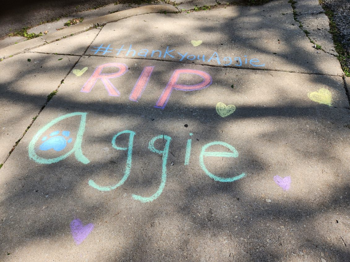 Colorful sidewalk chalk tribute reading thank you Aggie and RIP Aggie with hearts